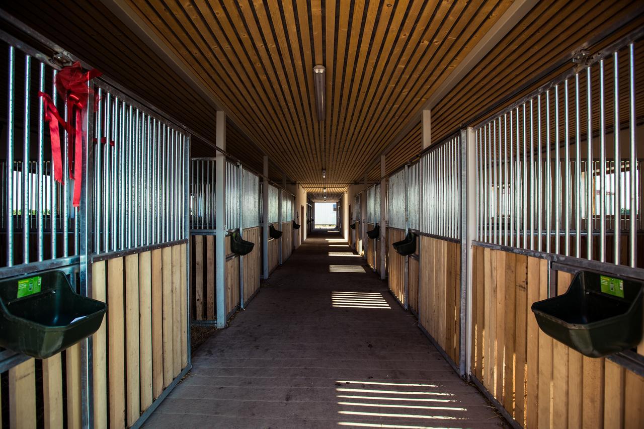 Kentaur Lovaspanzió Hódmezővásárhely Exterior foto